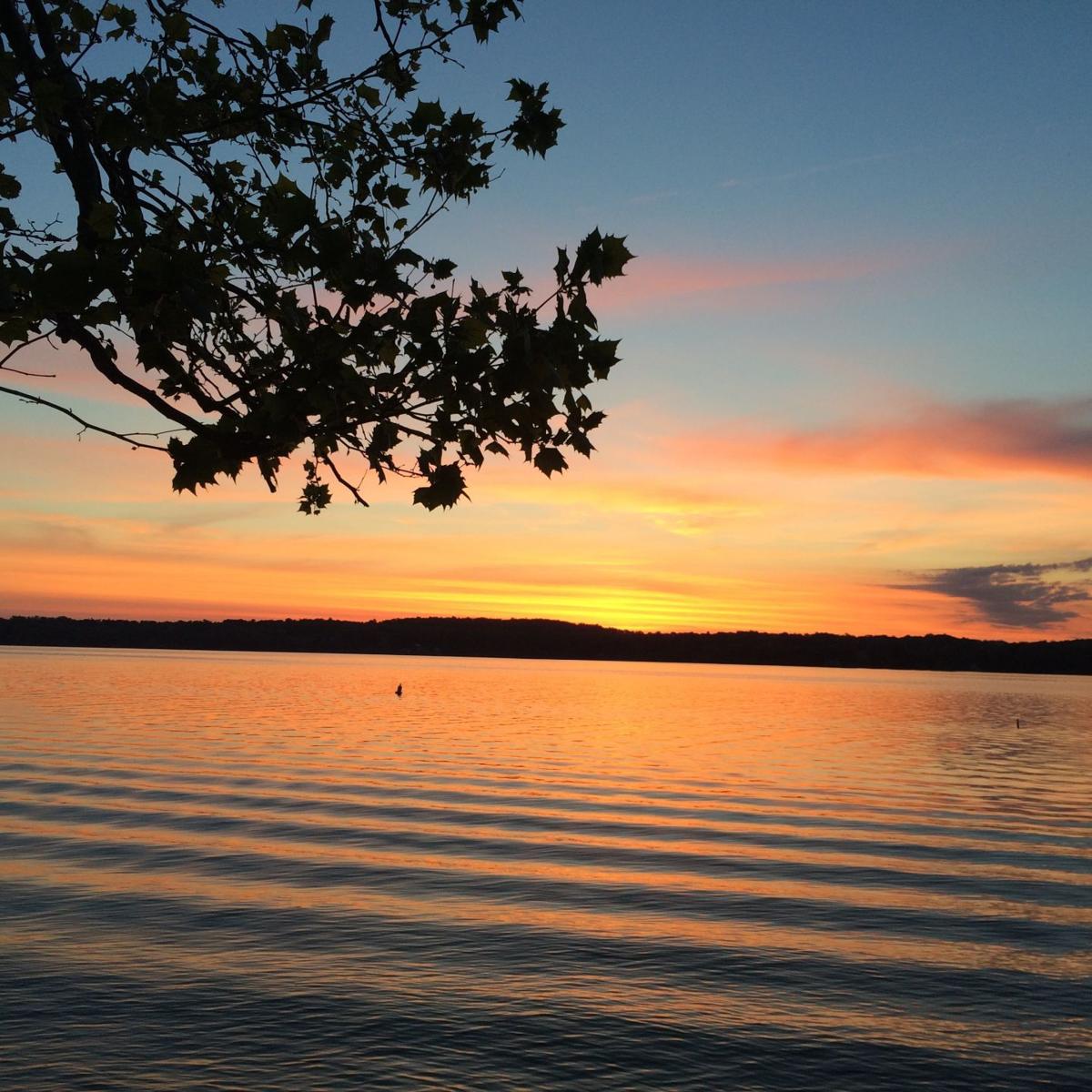 OWLA Celebrate your precious resource at Owasco Lake Day festival