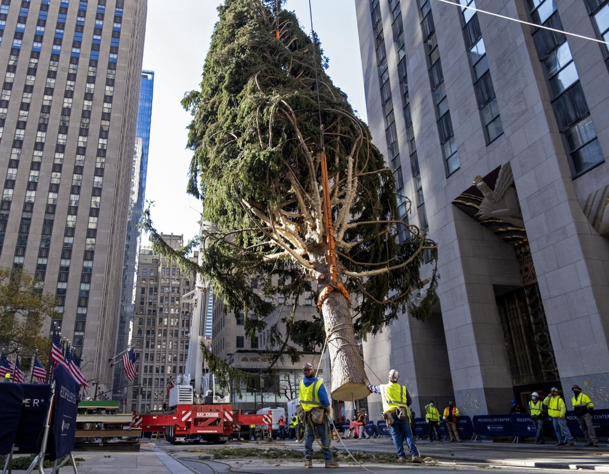 Rockefeller Center Christmas Tree