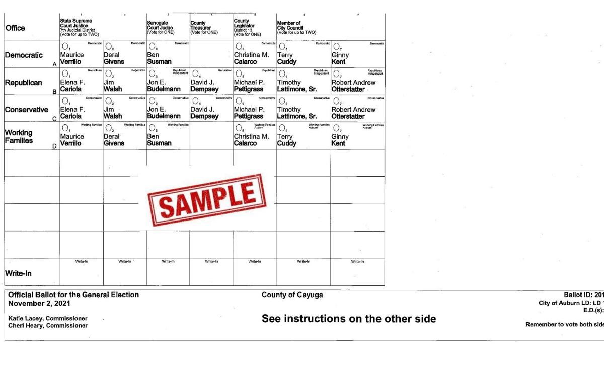Preview of a 2021 Cayuga County ballot