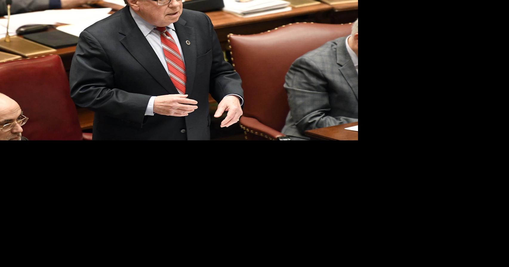 Cayuga County's state lawmakers blast NY budget 'Taxes, taxes and more