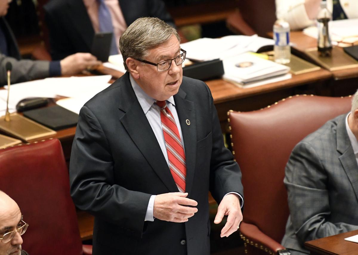 Cayuga County's state lawmakers blast NY budget 'Taxes, taxes and more