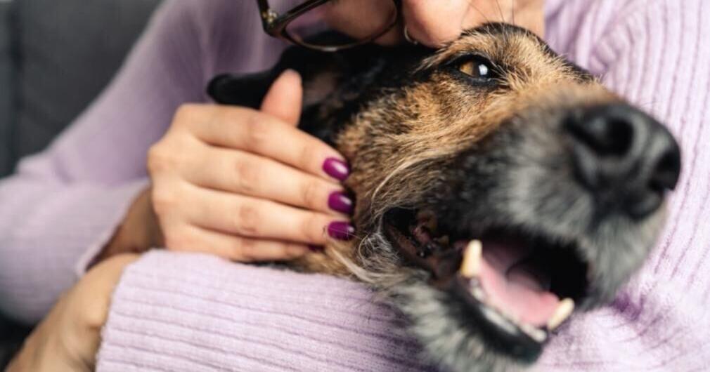 The Possible You: How pets make us more compassionate