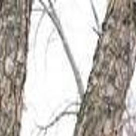 Cayuga County Woman Buys Bunny Suit To Bring Easter To Area Children Local News Auburnpub Com