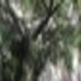 Rome Wasn T Rebuilt In A Day A Review Of Assassin S Creed Brotherhood Entertainment Auburnpub Com