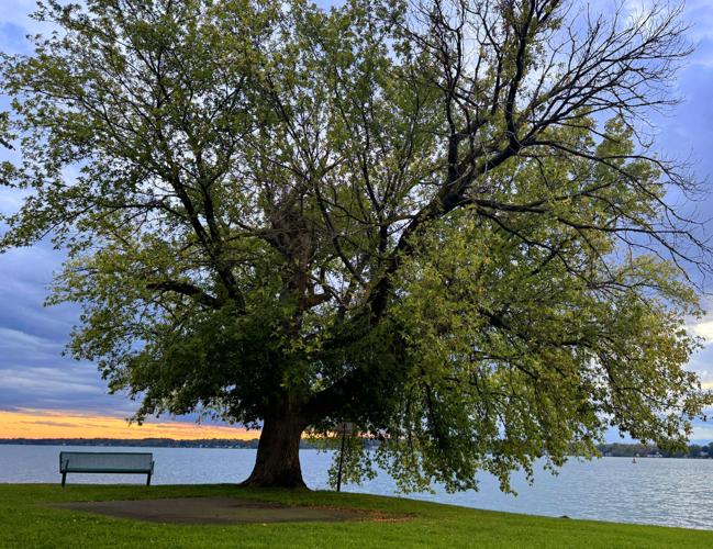 Cayuga Countyarea event calendar Music, theater and more
