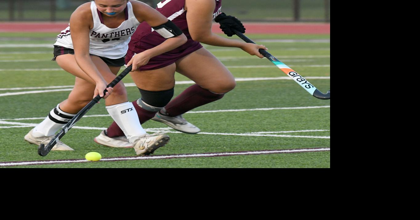 Local Roundup: McKay scores four, including OT winner, in Port Byron ...