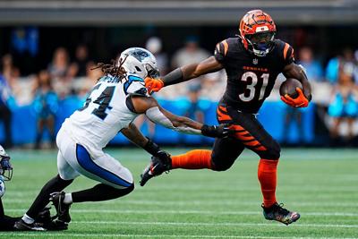 Bengals Panthers Football (copy)