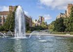 #93. University of Washington