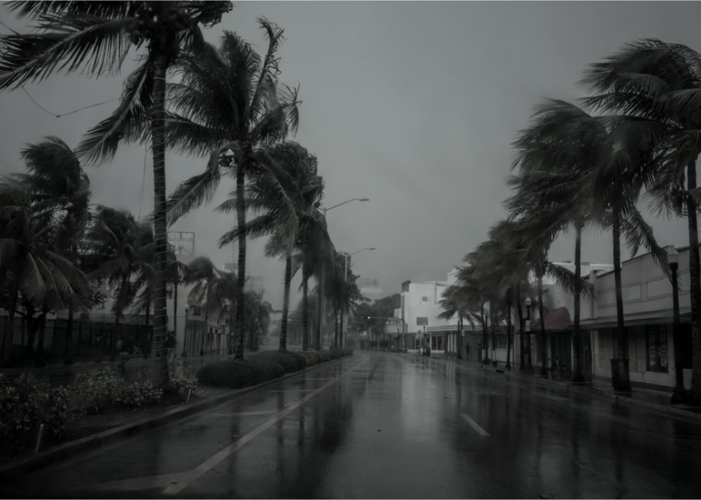 1981: Five hurricanes in September