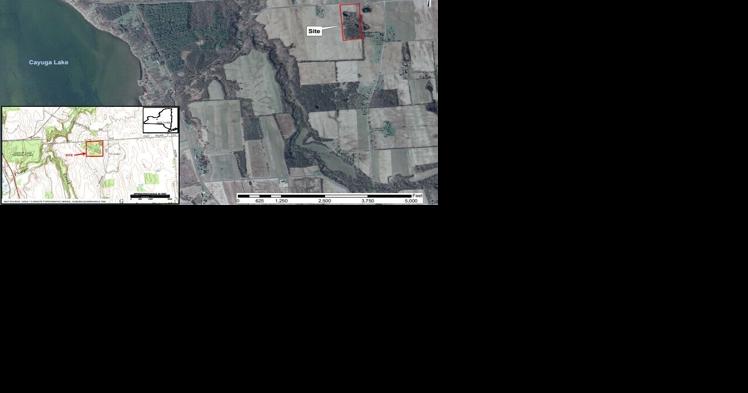 Cleanup goals achieved at former Cayuga County landfill - Vimarsana News