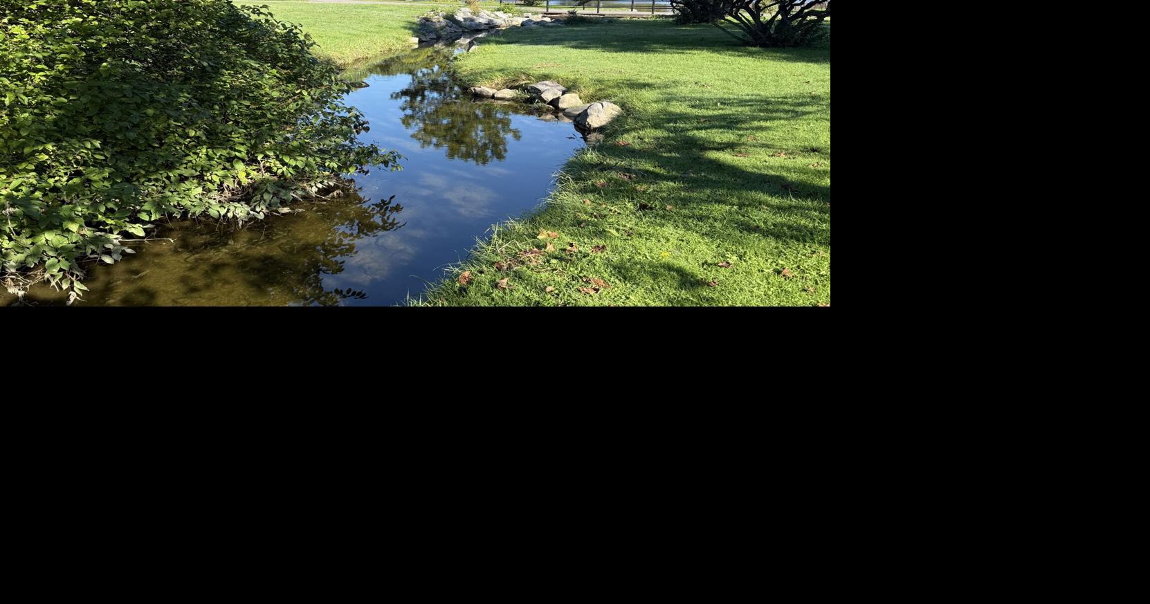 Cayuga County Soil and Water to oversee $190K project at Auburn's Hoopes Park