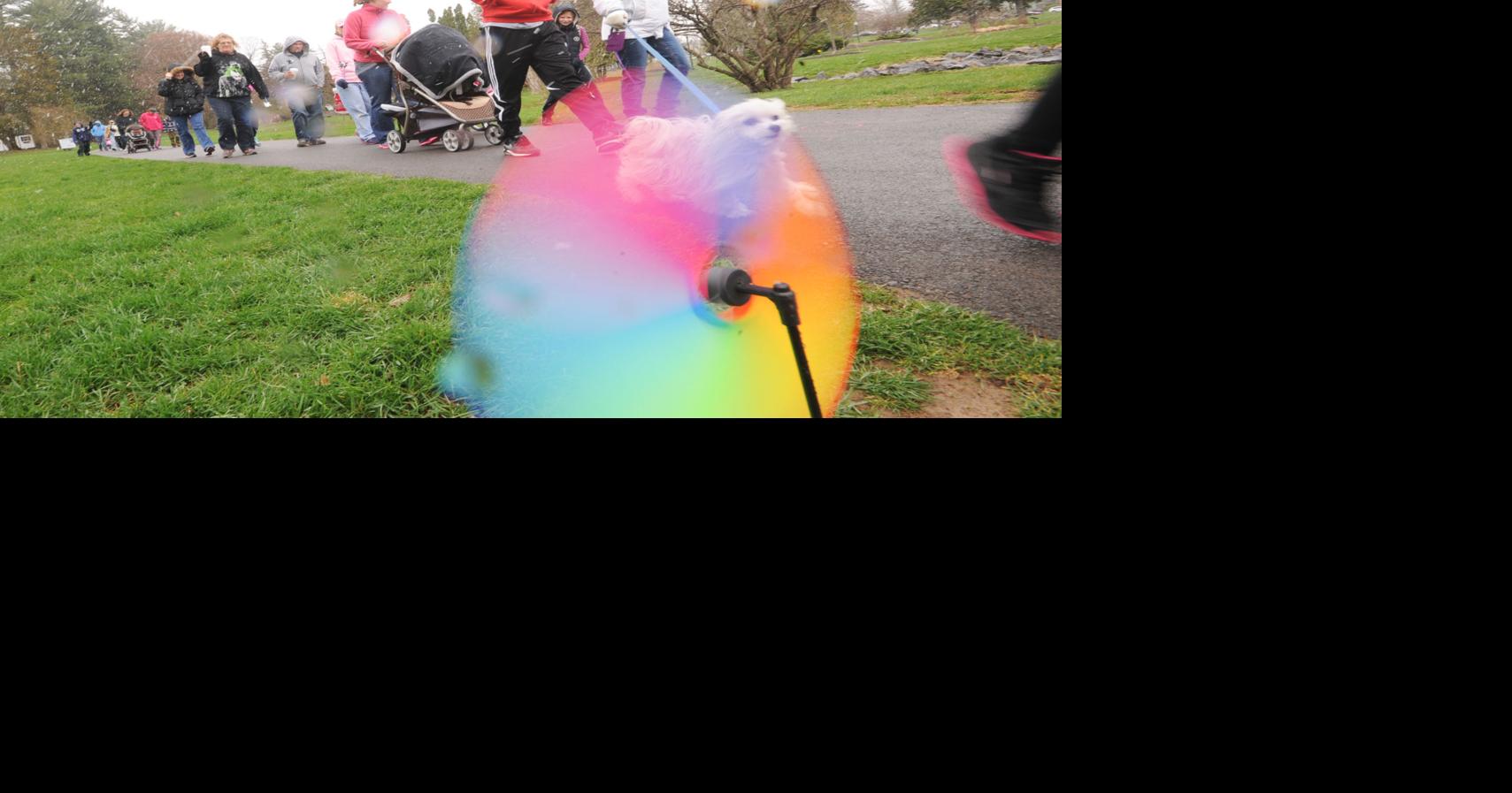 Walk at Hoopes Park in Auburn supports autism services