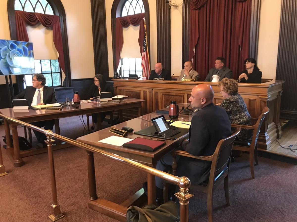 Auburn City Council approves 3M bond for turf project at Falcon Park Local News Auburn, NY