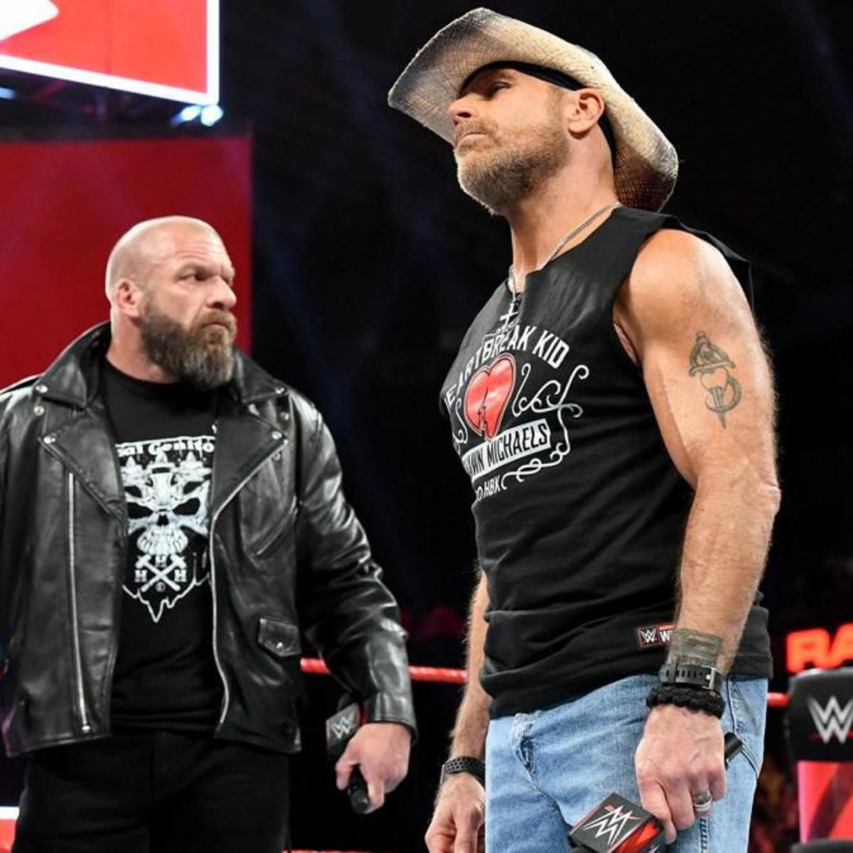 Wwe The Return Of Shawn Michaels If Nothing Else Should