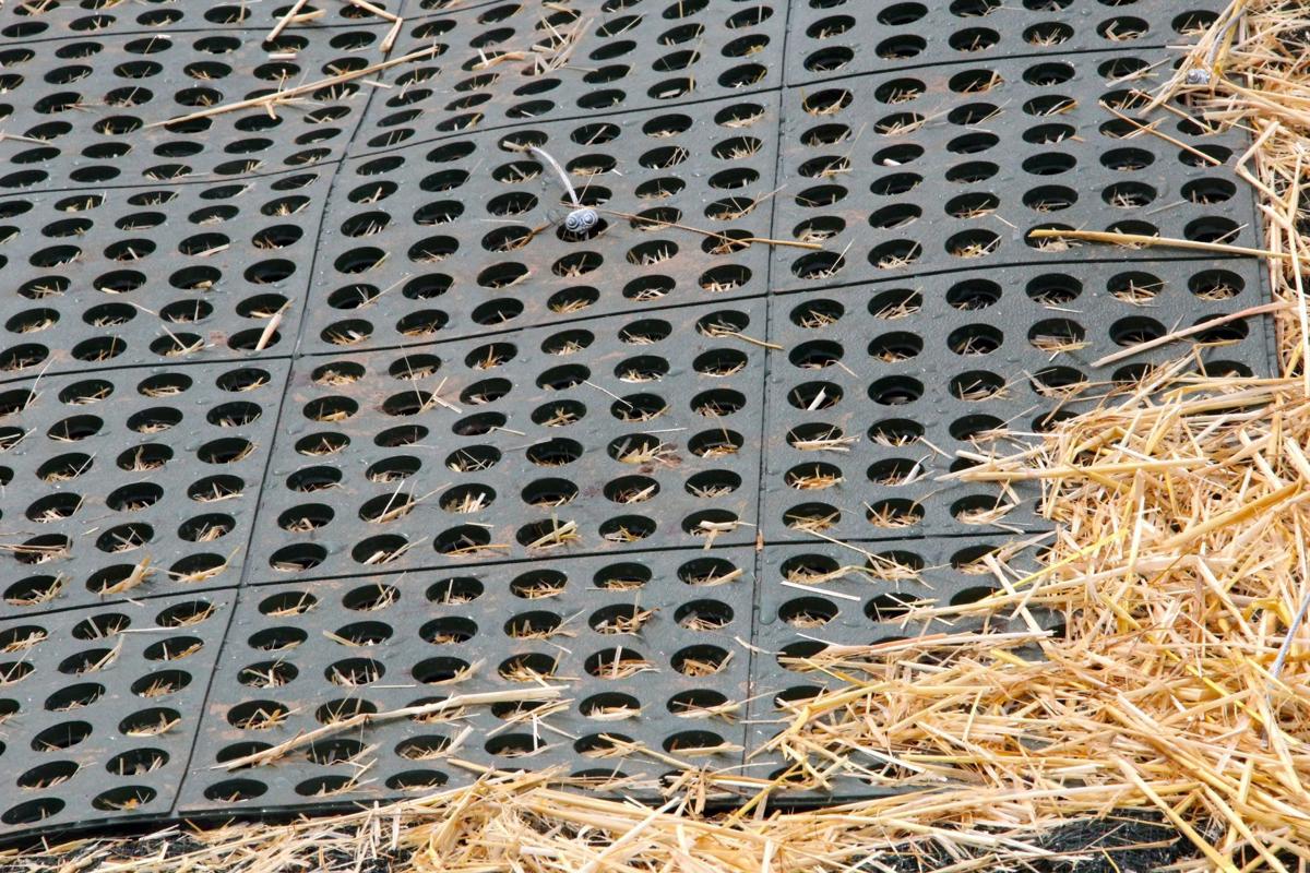 Emerson Park boat launch on track for end of April opening