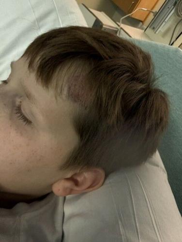 d10b53af-617c-4bae-b2d6-63e1296c1fb1.jfif