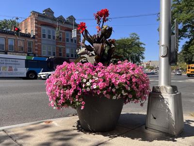 EarthPlanter