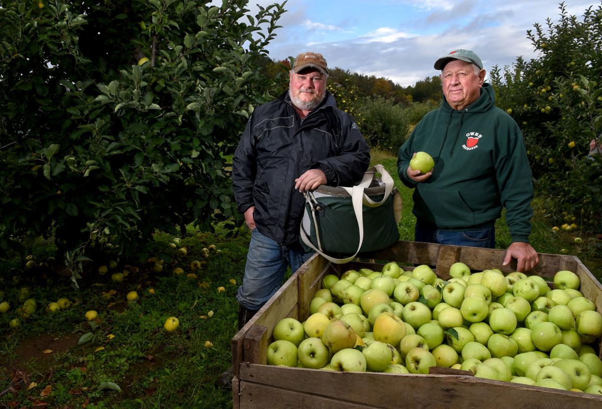 Sennett orchard boasts new, exclusive varieties Sennett orchard boasts new, exclusive varieties