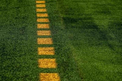 The Bills’ grass at Highmark Stadium – yes, grass – is state of the art. Take a look