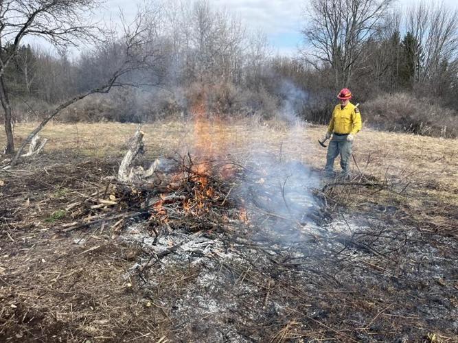 DEC Forest Rangers - Week in Review