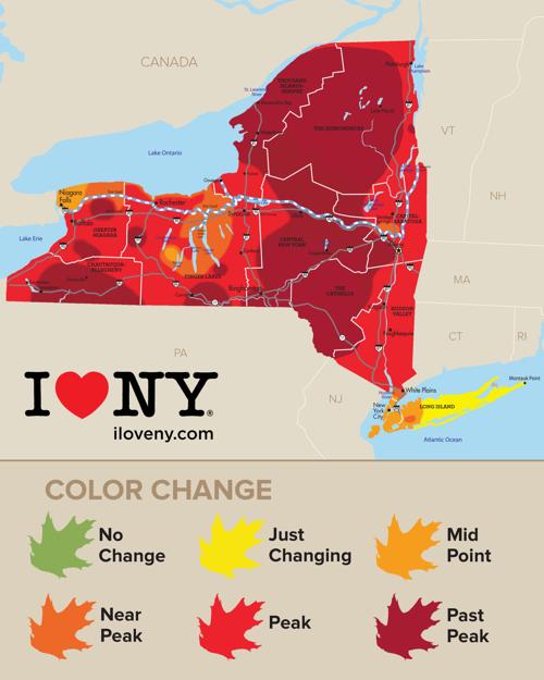 New York State Fall Foliage Report For Week Of Oct 25 Local