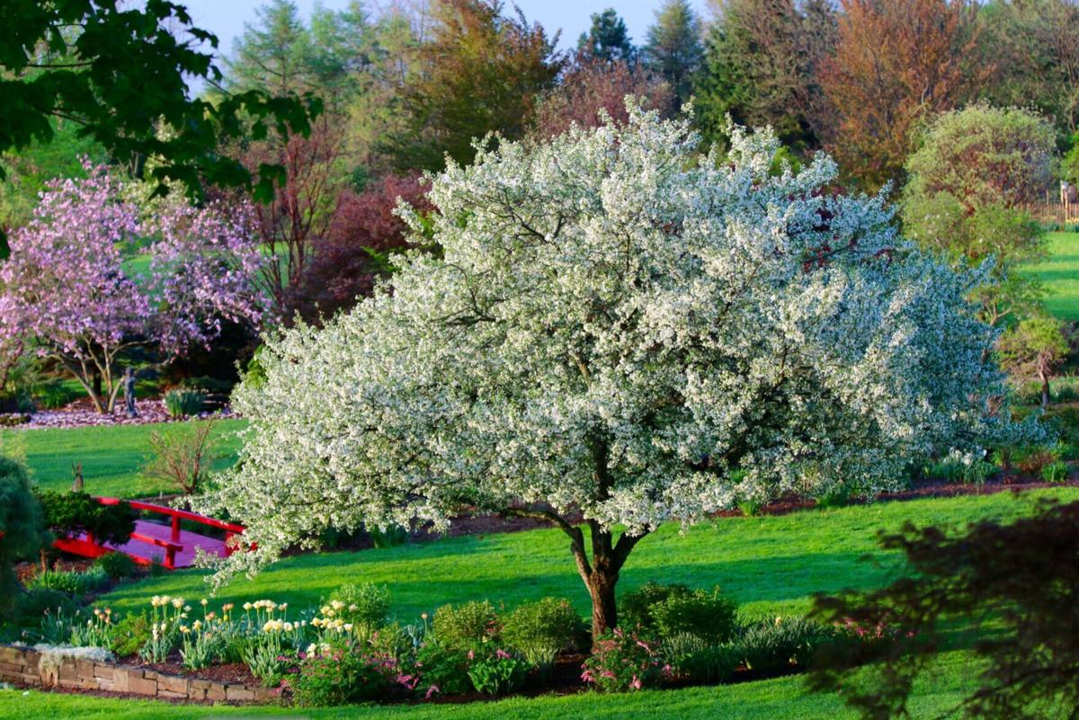 Mother's Day Garden Tour returning to Marcellus