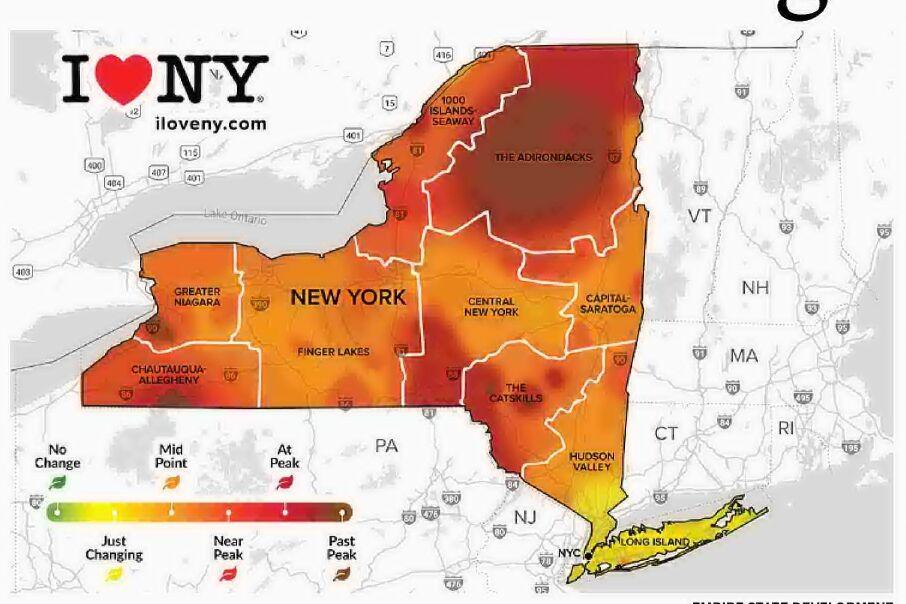 New York state fall foliage report
