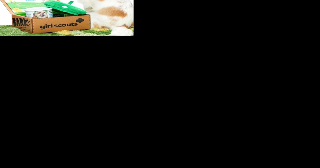 Girl Scouts: Selling treats, reads and more - Vimarsana News