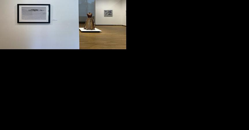 Finger Lakes Art Council: 'Member Show' exemplifies mission of Schweinfurth - Vimarsana News