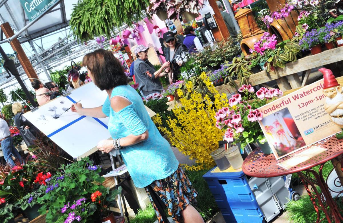 Va Va Bloom Thousands Celebrate Spring At Owasco Garden Center S