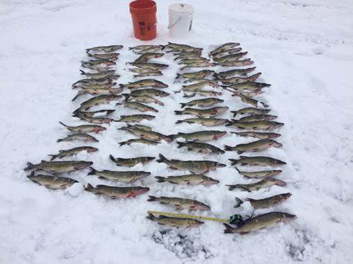 Youth Hooked on SNC Summer Fish Camps