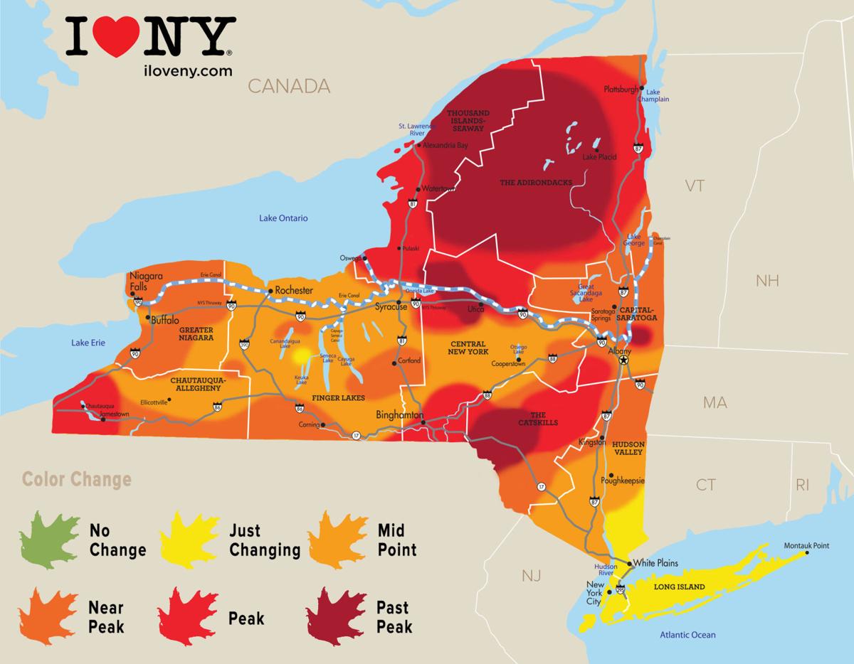 New York state fall foliage report for week of Oct. 17 Local News