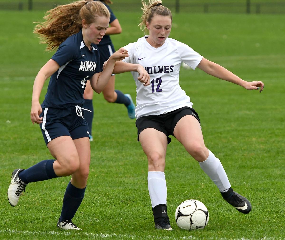 Section Iv Postpones Fall Sports To Spring Cayuga County Schools Explain Votes Local Sports Auburnpub Com