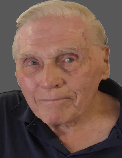 Robert D. Stebbins