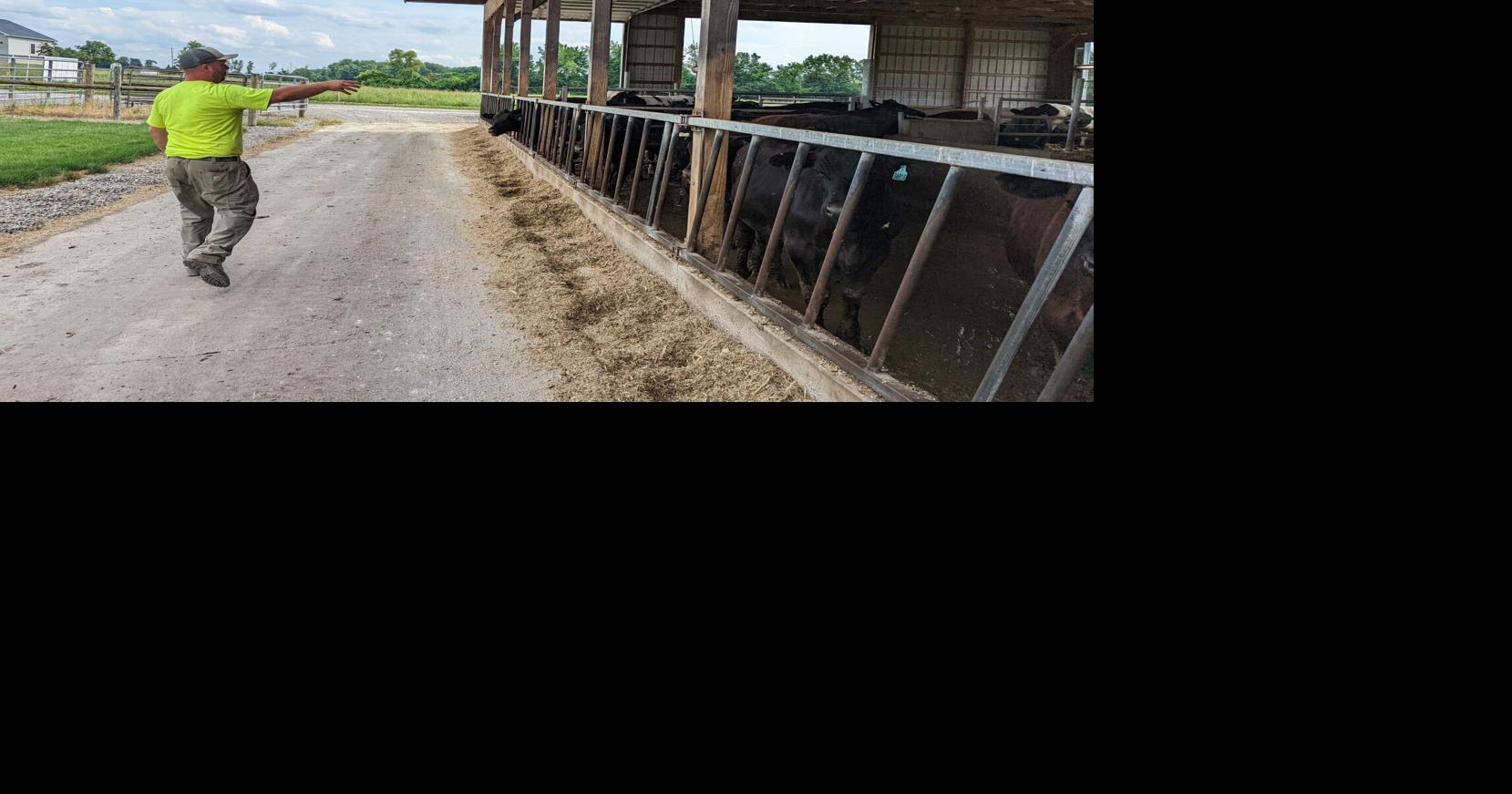 Our Owasco: Fleming farm embraces watershed-friendly practices