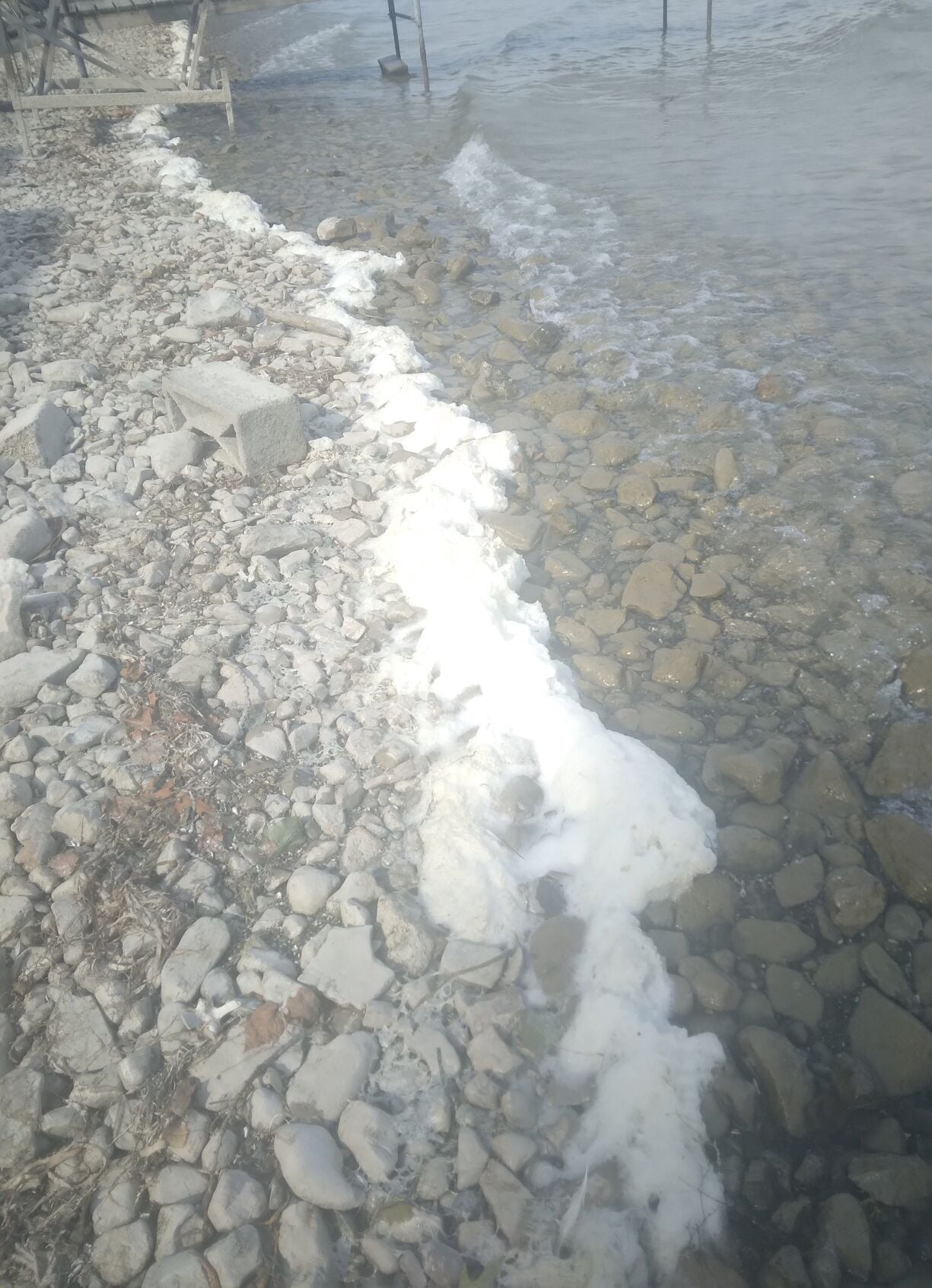 Foam on shore firelane 26W.jpg