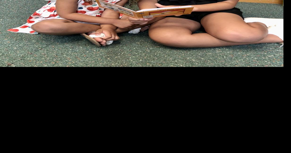 Skaneateles Library launches literacy collection,