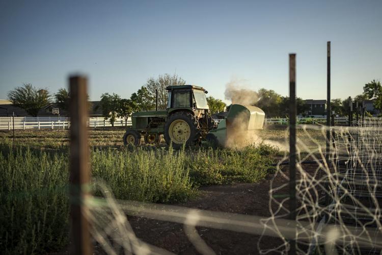Climate Agritopia Agricultural Community