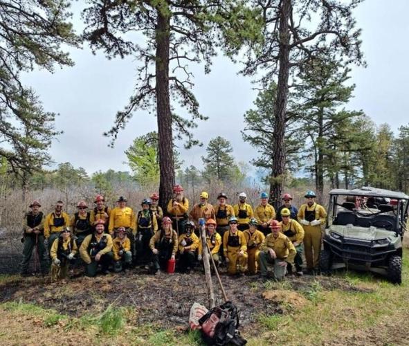 DEC Forest Rangers - Week in Review