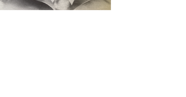 Legends of Auburn: Samuel Hopkins Adams, aka Hollywood naughty boy Warner Fabian - Vimarsana News