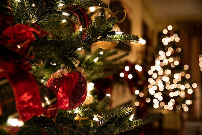 Light Up the Holidays