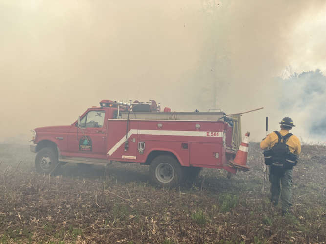 DEC Forest Rangers – Week in Review