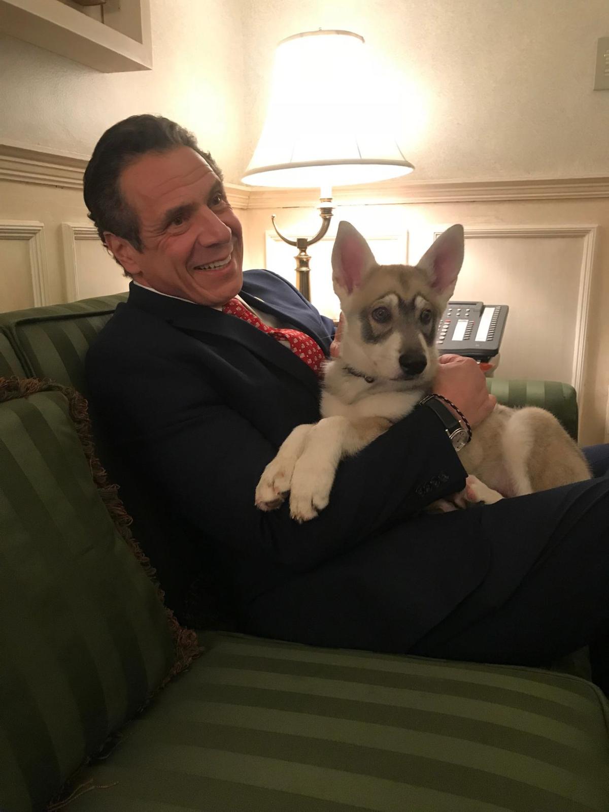 Governor cuomo for president twitter Governor cuomo for president twitter