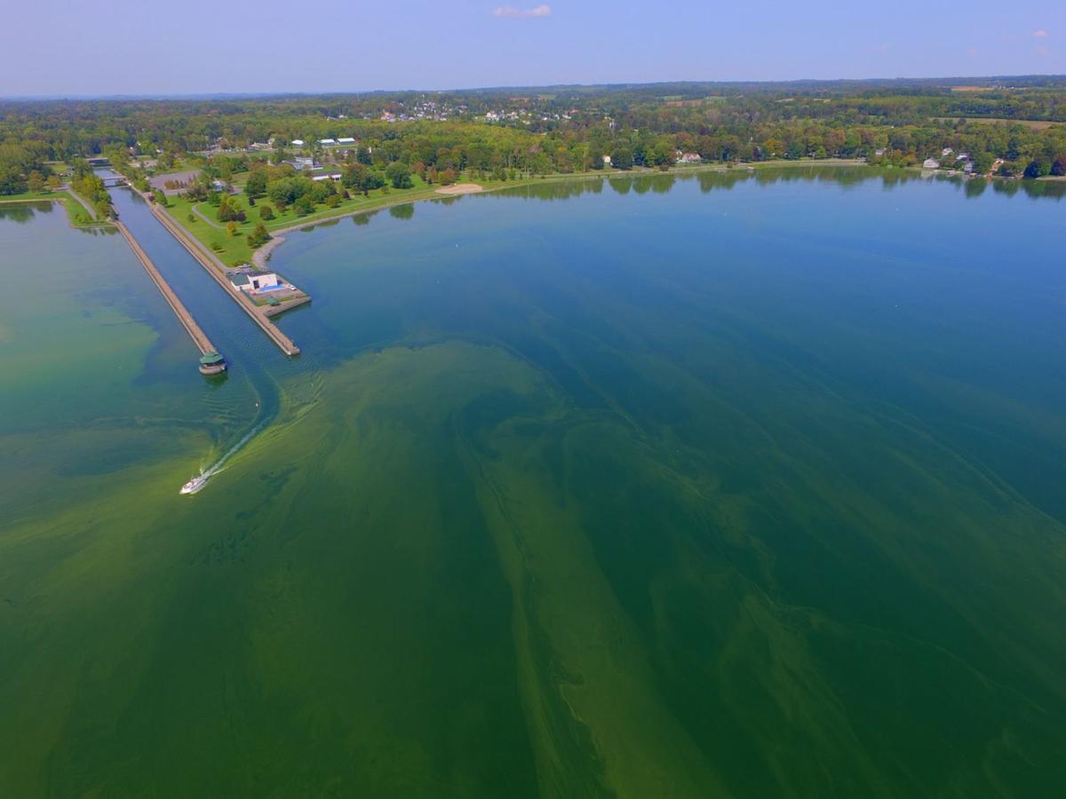 Harmful algae Owasco Lake
