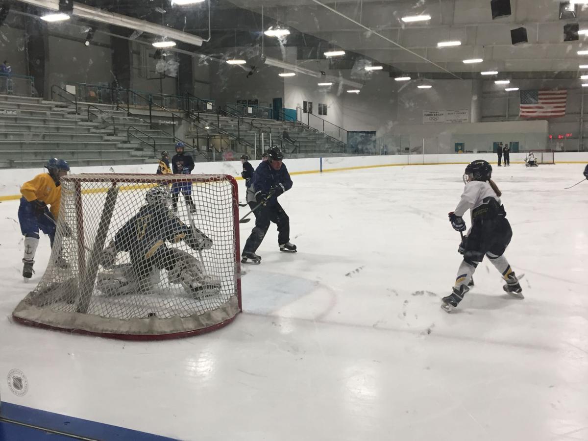 skaneateles youth hockey
