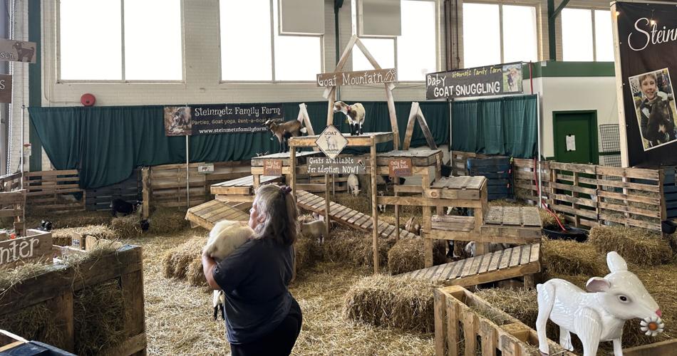 NY State Fair shuts down baby goat cuddling exhibit