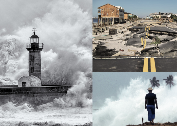 What hurricane season was like the year you were born