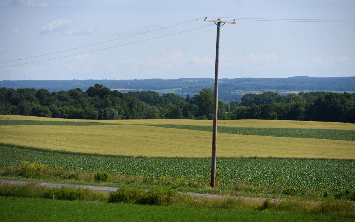 Gallery Allen Farms in Scipio Center Photo Galleries