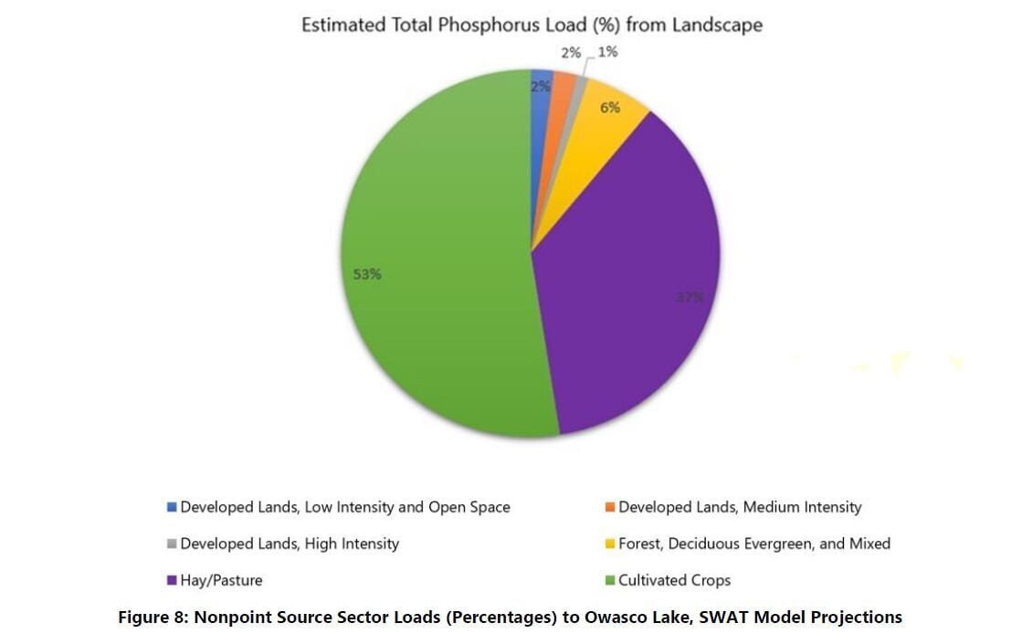 Phosphorous sources