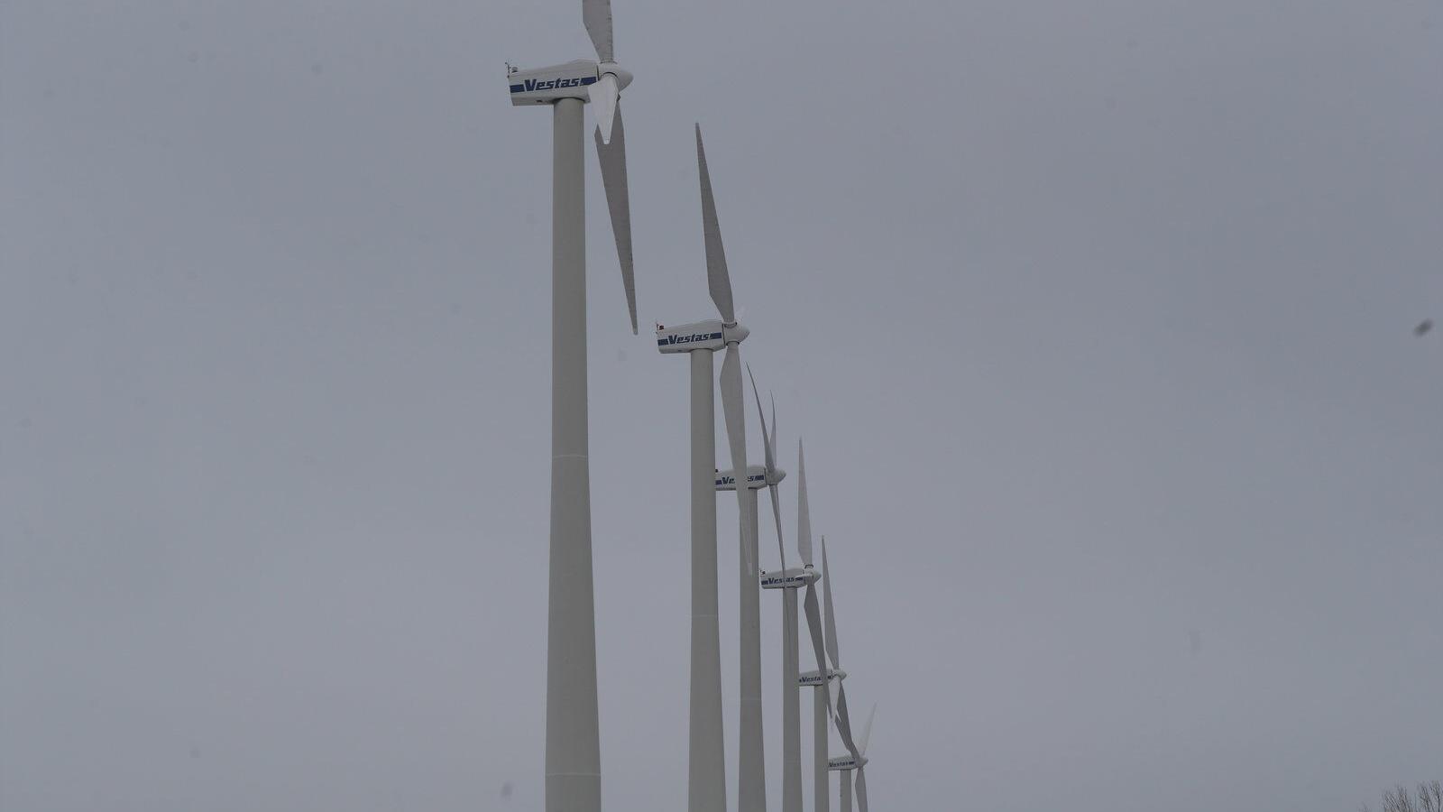 New York state hired consulting firm to write new green energy rules, lawsuit charges - Vimarsana News